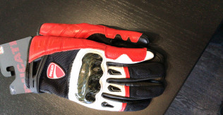 DUCATI Company Gloves - Medium