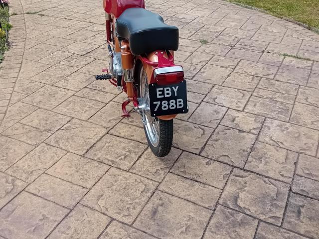 1964 Ducati TS 175 4 1964 Ducati TS 175 4