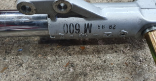 Monster 600 forks