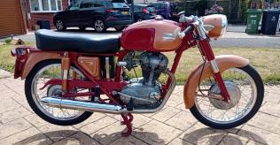 1964 Ducati TS 175
