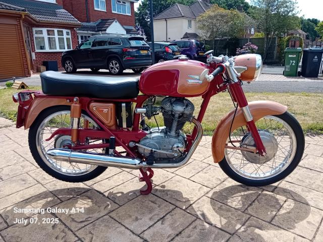 1964 Ducati TS 175 0