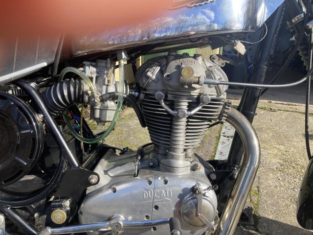 Ducati Single 1970 350 Scrambler 3