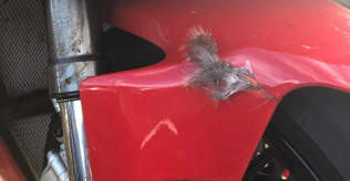 Panigale V4 Front Fender (Red)