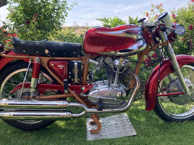 Ducati Elite 1