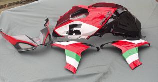 Multistrada V4s panels