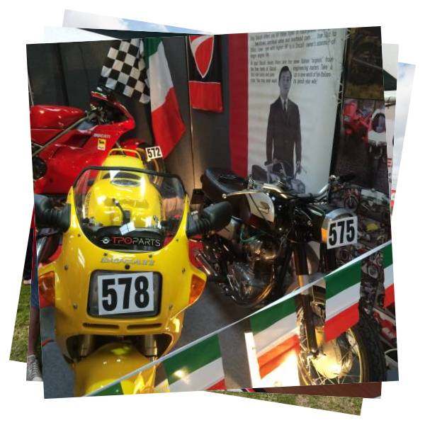 MCN Shows