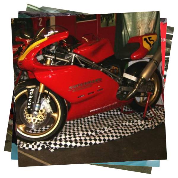 Stafford Bike Shows