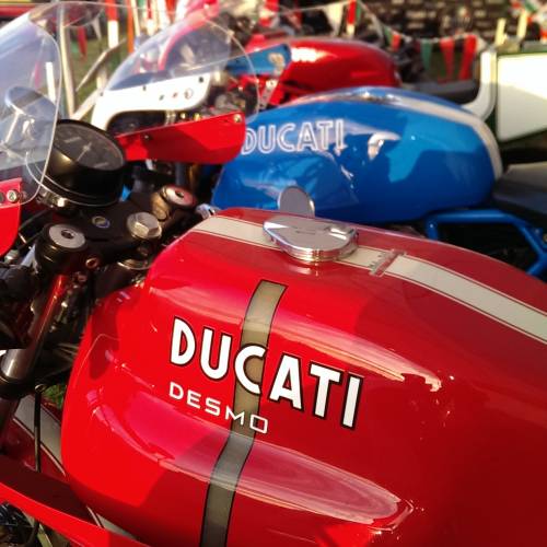 MCN Show 2015