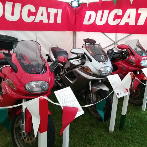 MCN Show 2019